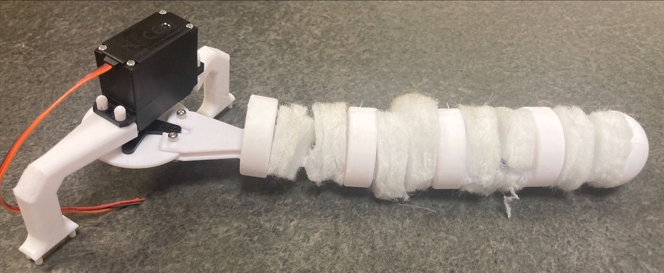 Fox-Bot Tail Live Image